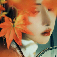 把酒临风映剪辑