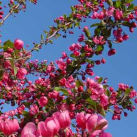 几重烟水映剪辑