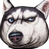 狗仔大侦探
