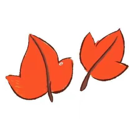南枫说