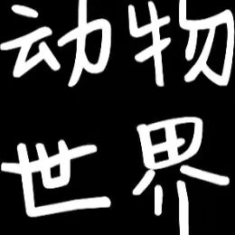 清影大自然