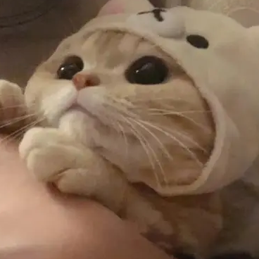 古风音乐家