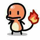 真_西红柿炒熊猫