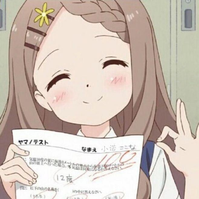 二次元fan百分