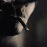 动漫天天酱