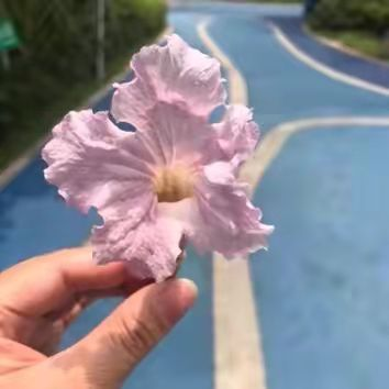 猫猫慢手工