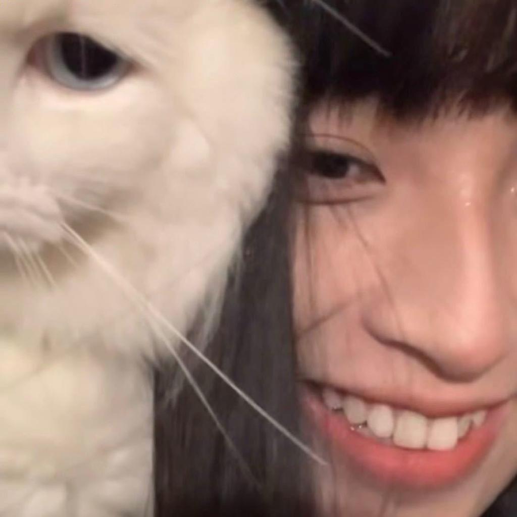 绿眼皓仔