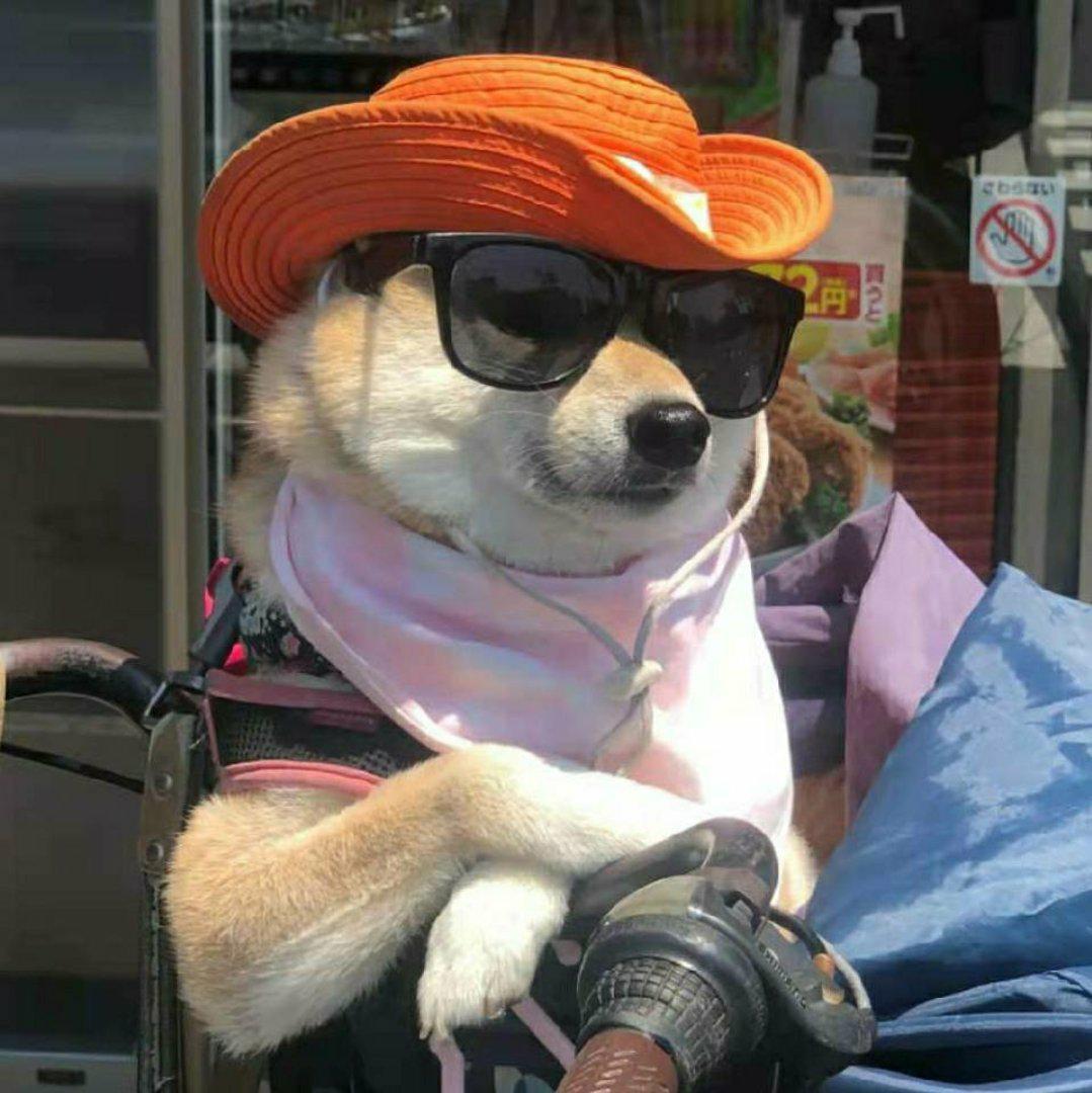 杨铂丝不是铁丝_