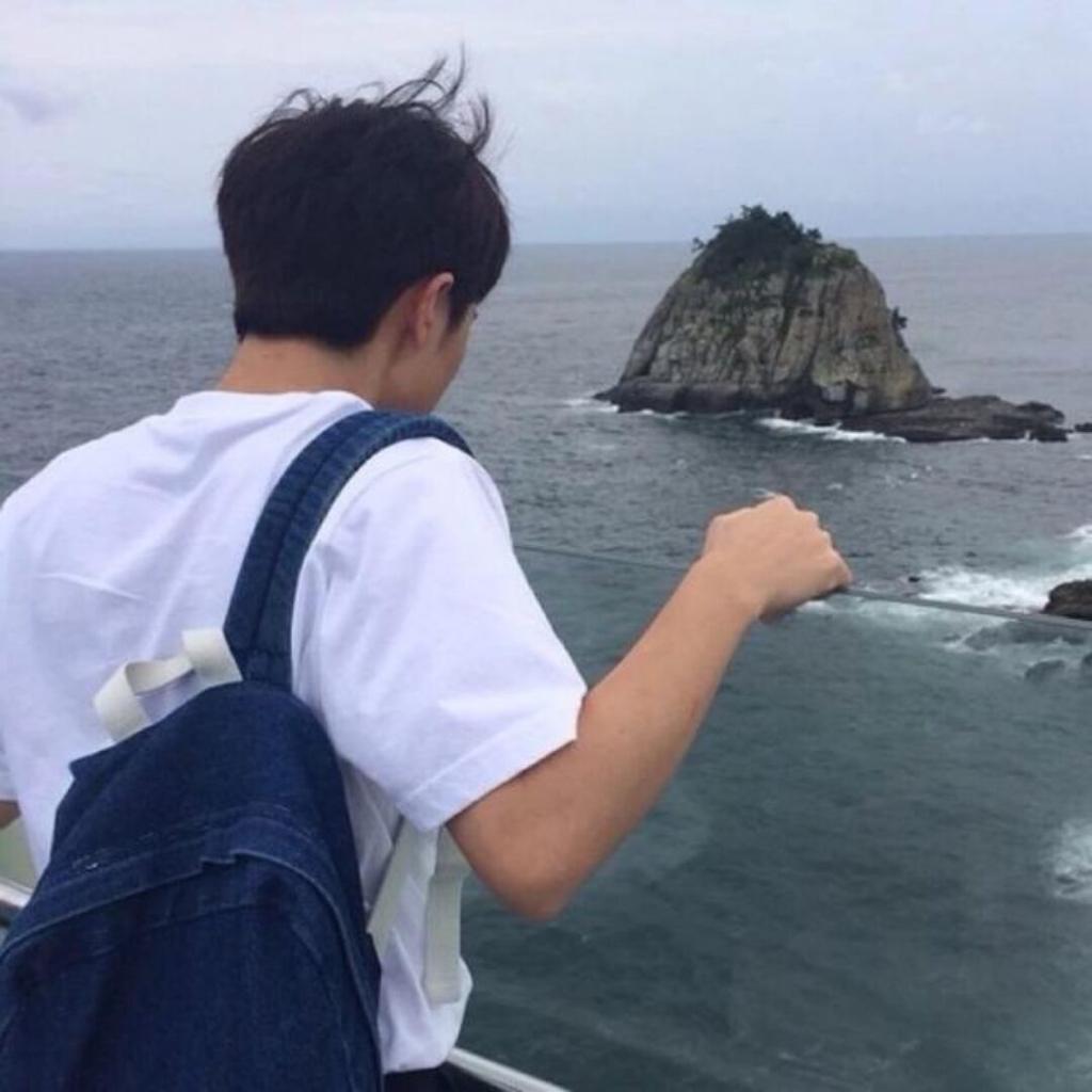 朱昱树