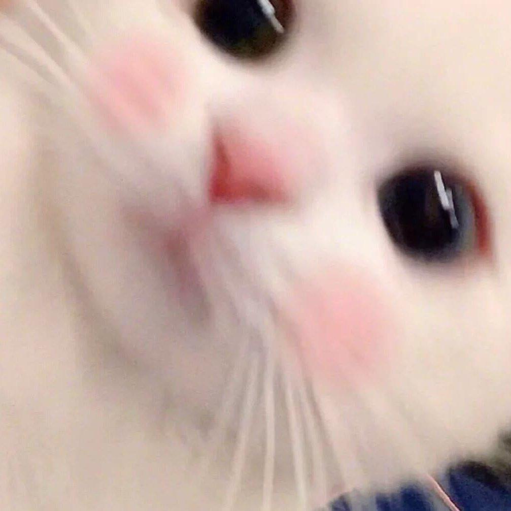 是新生活