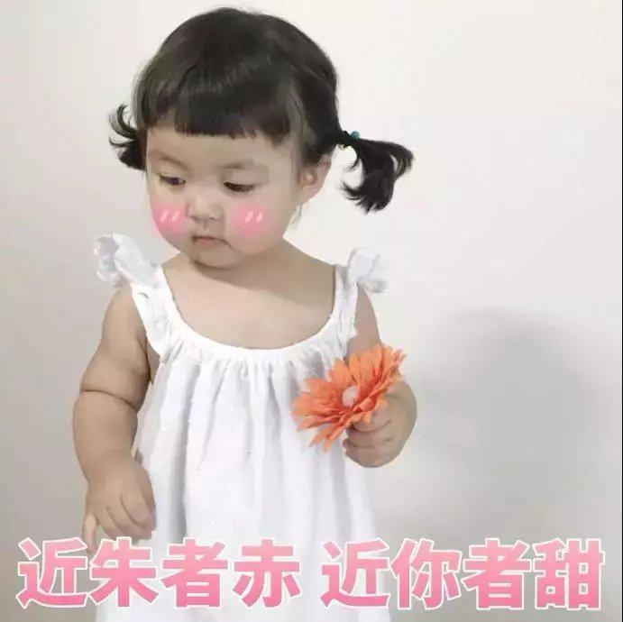 靠磕CP度日的哈哈酱