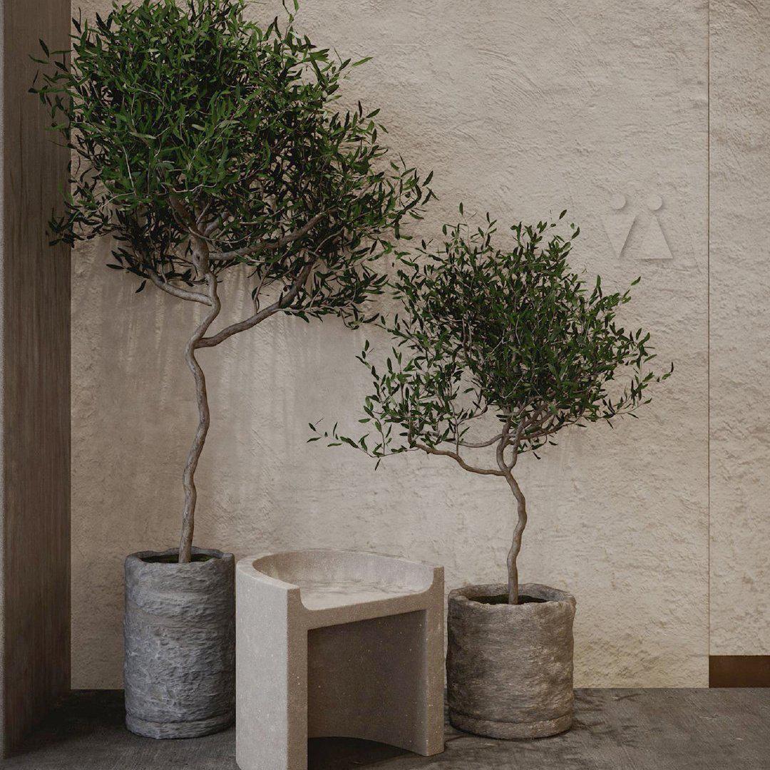 阿尔法与罗密欧