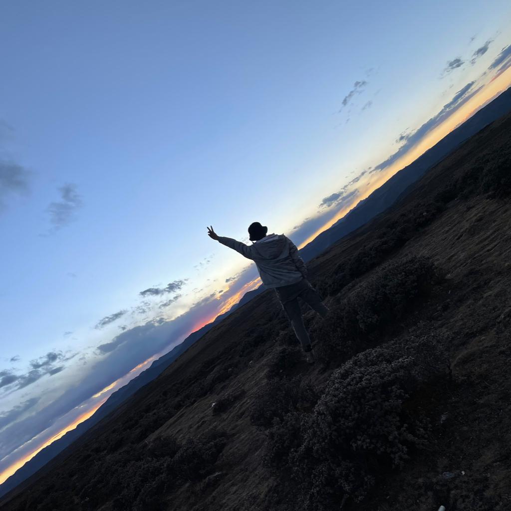 安德森的的的的