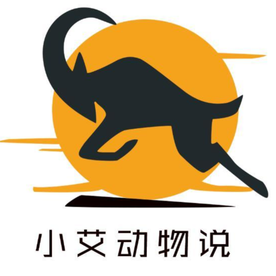 小艾动物说_1