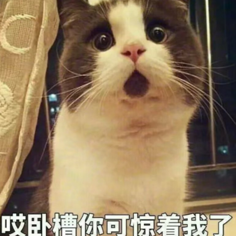 八折科普天下