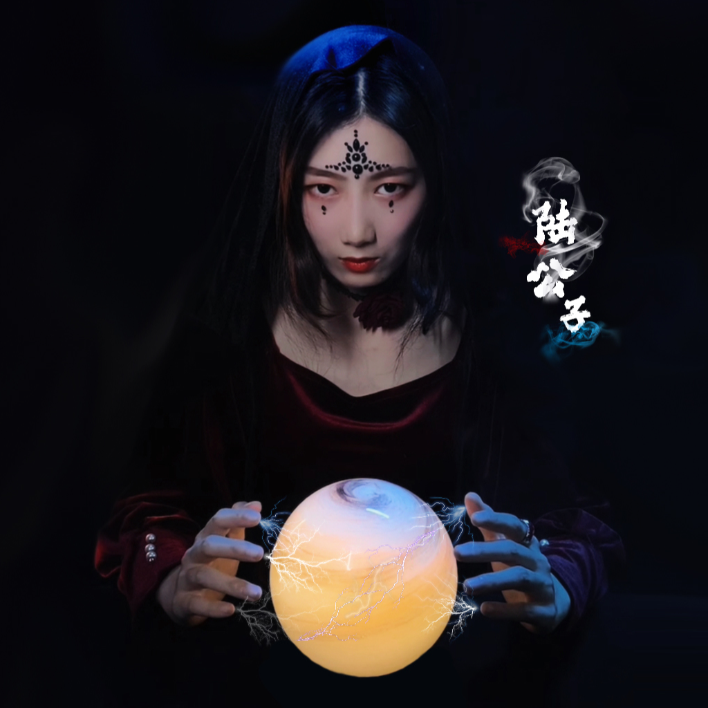 陆公子