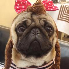 盘点那点事儿_1