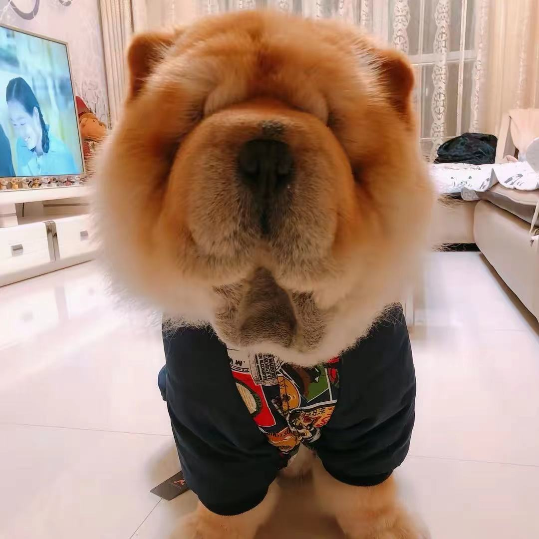 睡神乖