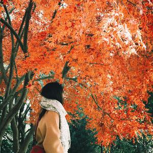 哆啦月在厨房忙个啥_1