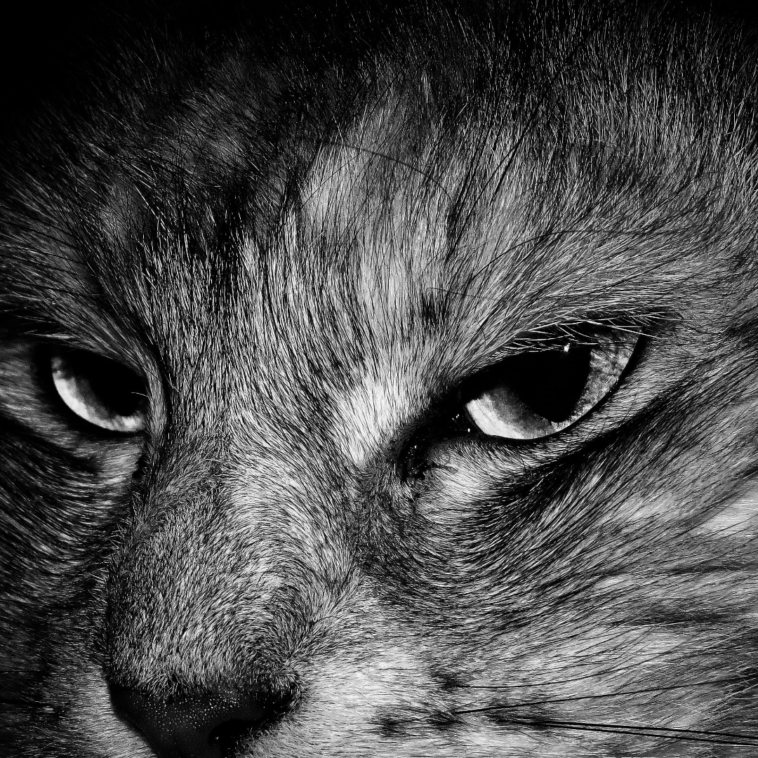 不爱看动漫解说