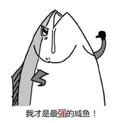 小五动漫解说_1