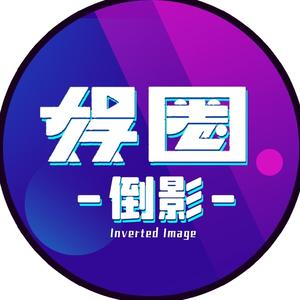 娱圈倒影