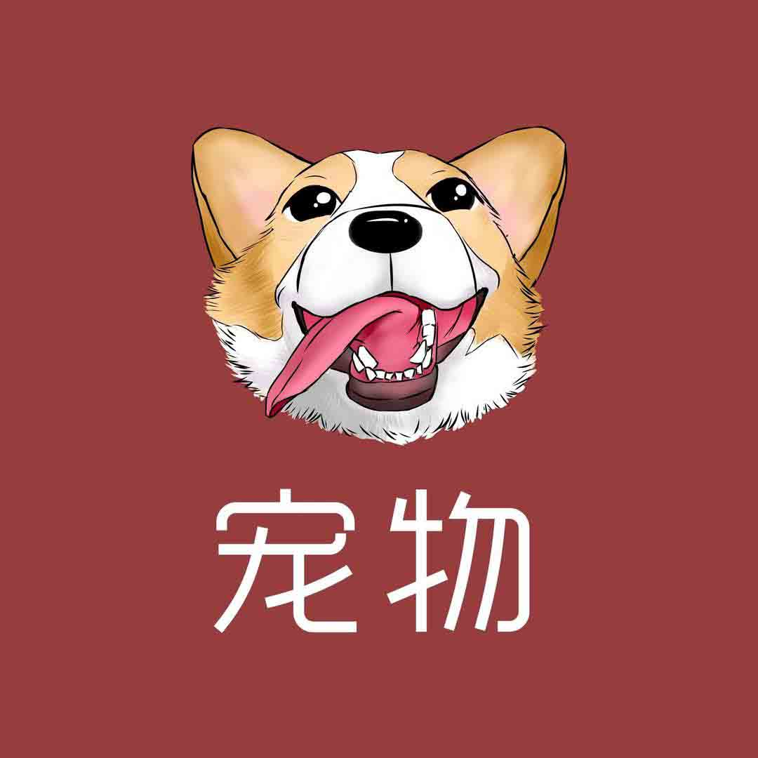 宠物知识讲解员_3