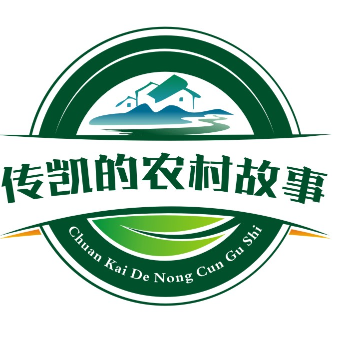 传凯的农村故事v