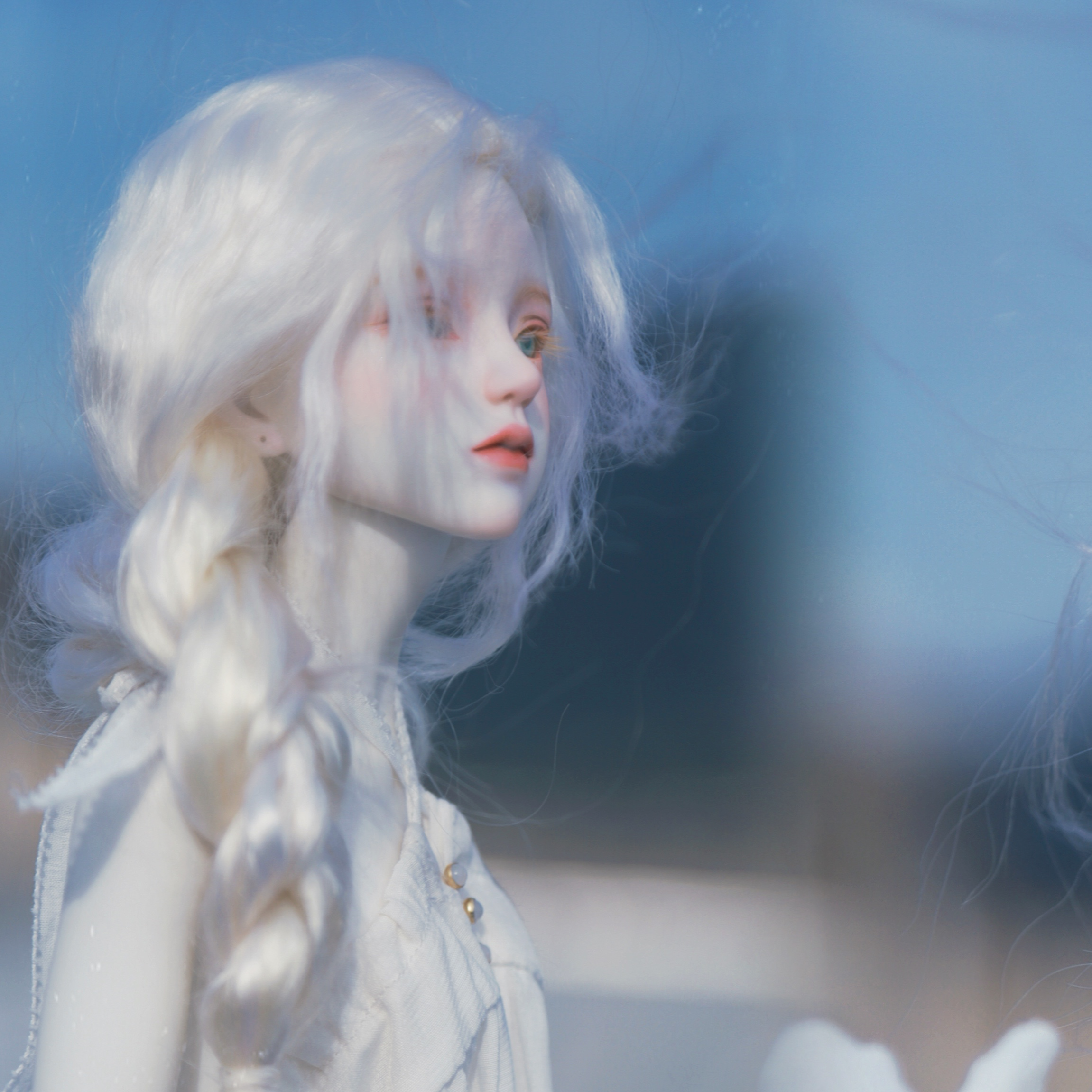 珂珂飞飞的拍娃日记