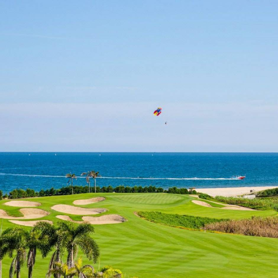 波丽安娜热爱文学