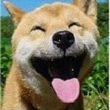 搞笑二狗