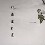 終嵗不知寒