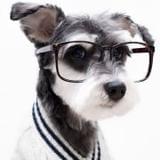 国际笑话幽默学院