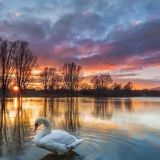 吵醒沉睡的冰山