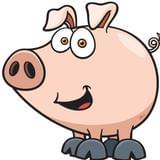 来过这儿的小猪