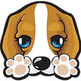 猫猫狗狗萌萌哒