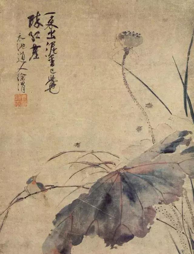 徐渭荷花作品欣赏图片