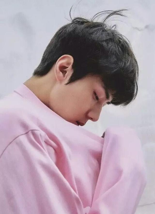 EXO成员的生日花语,吴世勋居然是桃花,朴灿烈