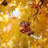 生孩子的那点事