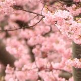 享受娱乐小分队