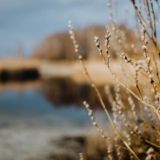 阿三娱乐小分队