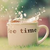 首席娱哥就是我