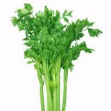 芹菜影视