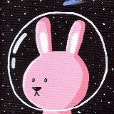 小象生活