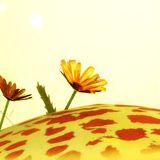 喜洋洋娱乐小分队