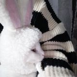 爱吃瓜的小肥珍