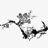 只解读经典