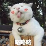 我想有猫