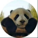 小李先生和她的猫