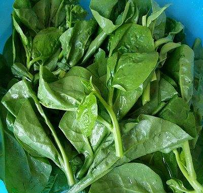 农村3种野菜, 常吃降低胆固醇、健脑 ,你知道吗